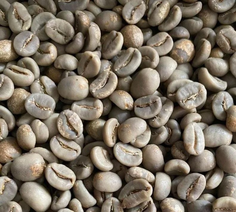 Kopi Luwak Coffee 7 - Image 3