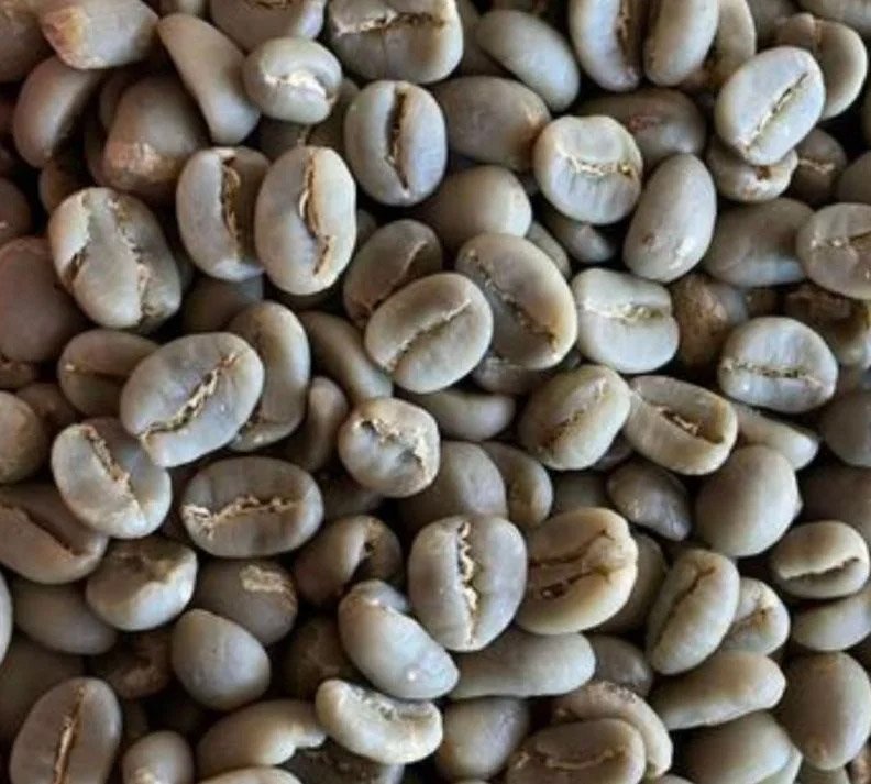 Kopi Luwak Coffee 7 - Image 4