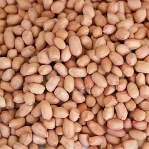 Indian Imported Raw Peanuts 2